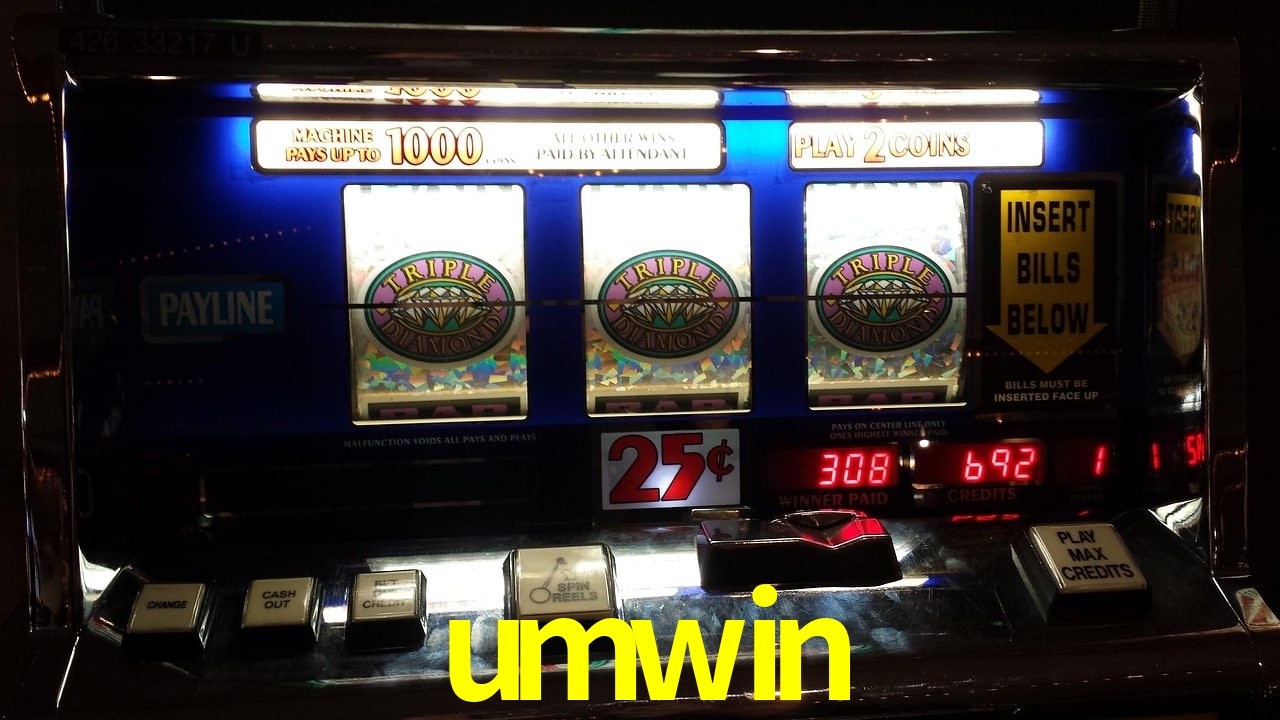 Sports Statistics umwin