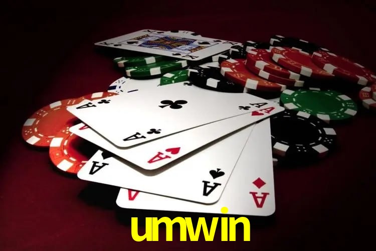 Interface Premium umwin